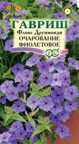 Флокс Очарование фиолетовое (г) 0,05гр