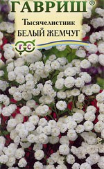 Тысячелистник Белый жемчуг (гавриш) 0,05 гр