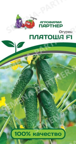 Огурец Платоша F1 (партнер) 5 шт