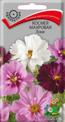 Космея махровая Психе (поиск) 0,2 гр